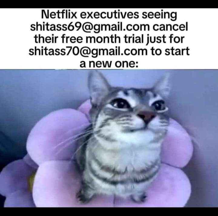 When you think you're slickly getting around free trial limits but Netflix knows exactly what you're doing.