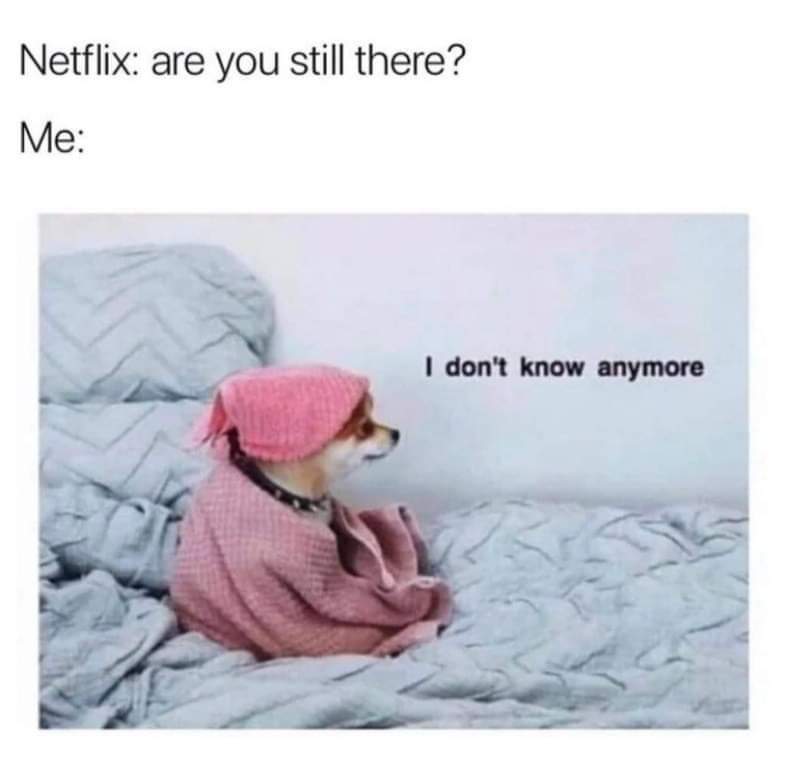 Me after falling asleep watching Netflix and the screen asks if I'm still watching