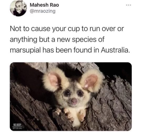 Okay but this little guy just popped out when I was tryna relax. It's kinda cute though.