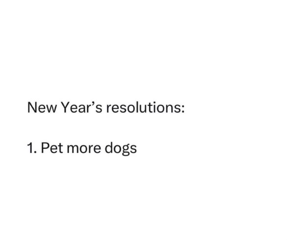 My one New Year's resolution is to pet more dogs. Honestly, same.