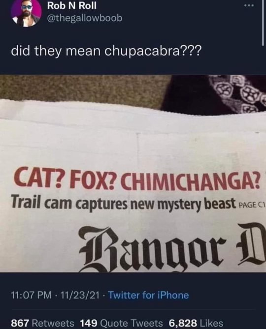 They were trying to figure out what the mystery beast was and just threw out 'chimichanga' as a guess lol