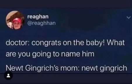 This is so wild, apparently Newt Gingrich's mom just named him Newt Gingrich.