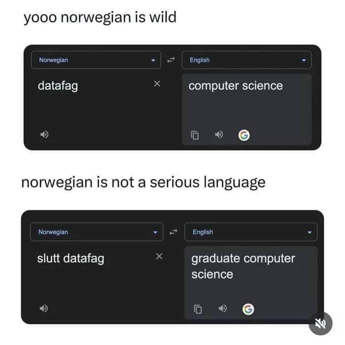 Lmao Google Translate has a whole different meaning for 'datafag' and 'slut datafag' in Norwegian.