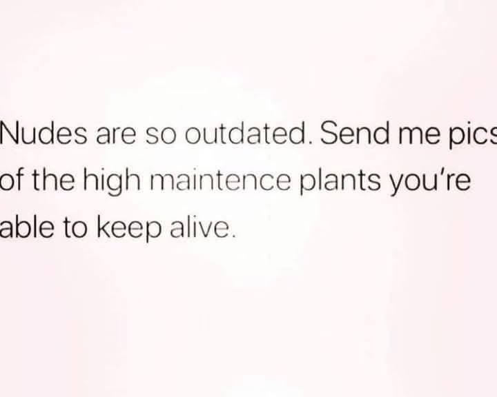 Lol who needs nudes when you can flex your ability to keep a ficus alive?