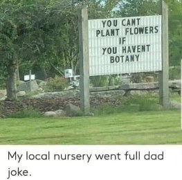 My local nursery went full dad joke.