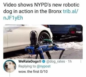 WeRateDogs rating the new NYPD robot dog a 0/10 is sending me
