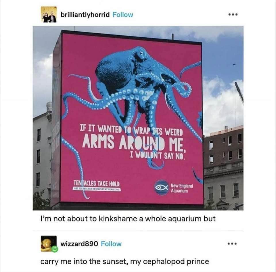 Me seeing the New England Aquarium's questionable advertising and thinking 'same'