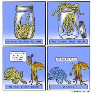 Octopuses are so smart they can escape almost anything... except their friends I guess lol