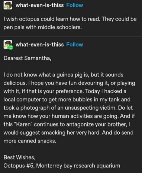 An octopus writes a letter like a sophisticated, slightly unhinged middle schooler who hacked a computer and wants canned snacks.