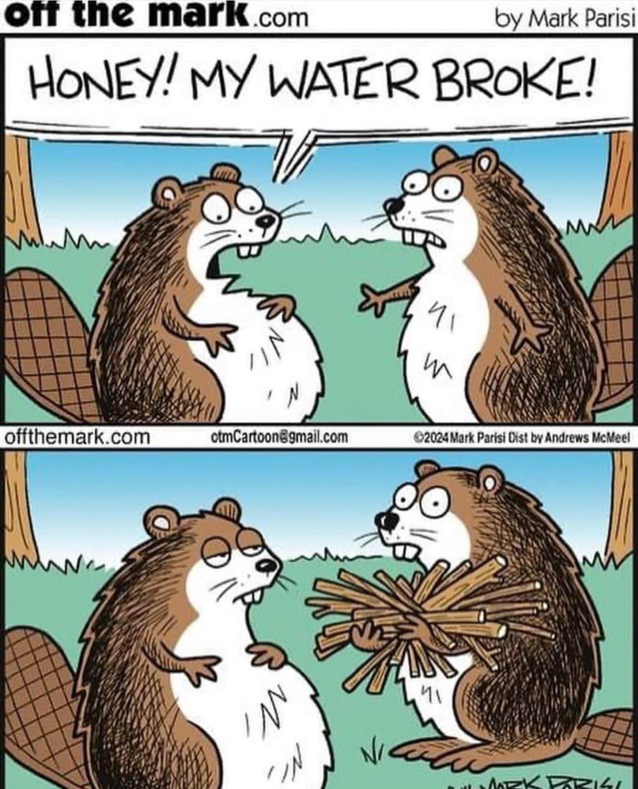 She said her water broke, and he immediately started gathering building materials. Beaver priorities.