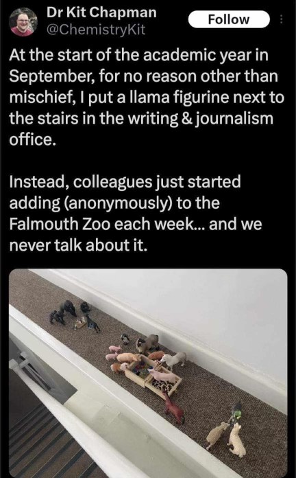 Some random llama figurine turned into an office-wide, unspoken zoo collective.