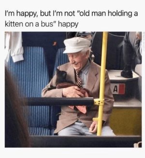 There's just different levels of happy and this guy is at the tippity top