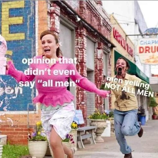 When you express a mild opinion and suddenly all men feel personally attacked.