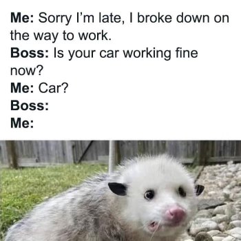 When your boss asks if your car is okay after you used that as an excuse for being late.