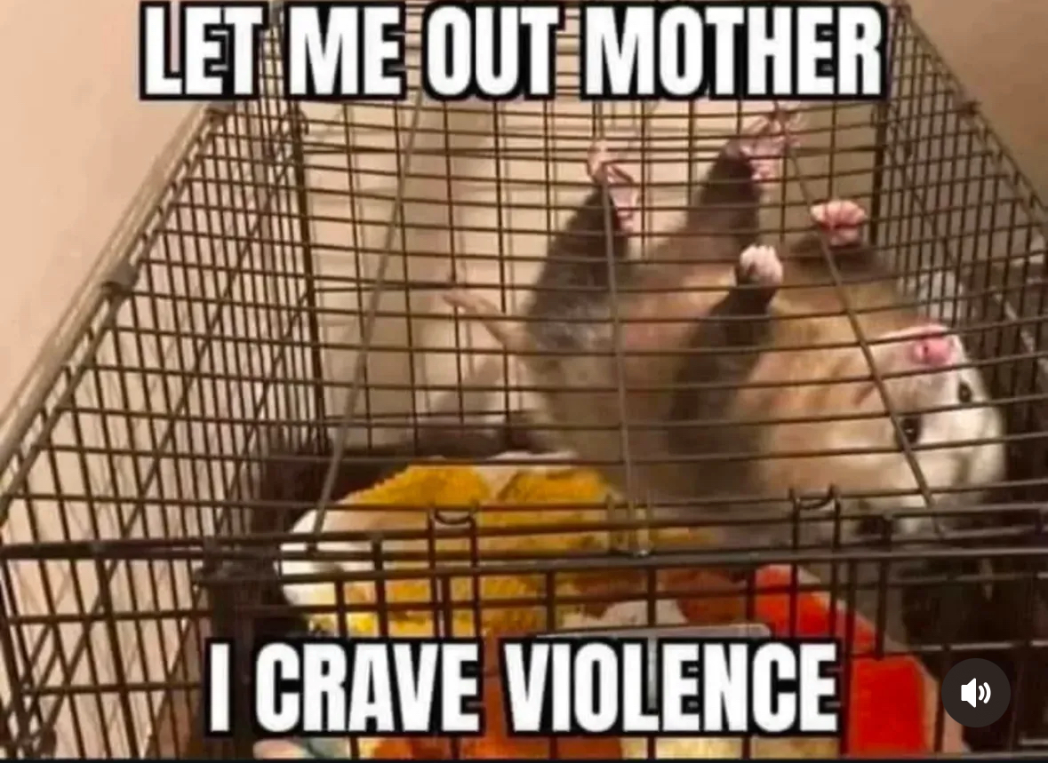 When you get put in your cage but you're still mad about something
