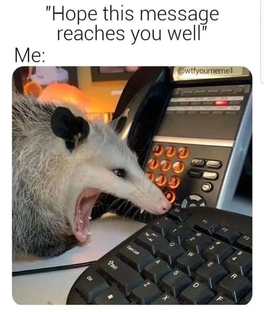 When you check your work email after the holidays and it's full of passive aggressive 'hope this reaches you well' messages