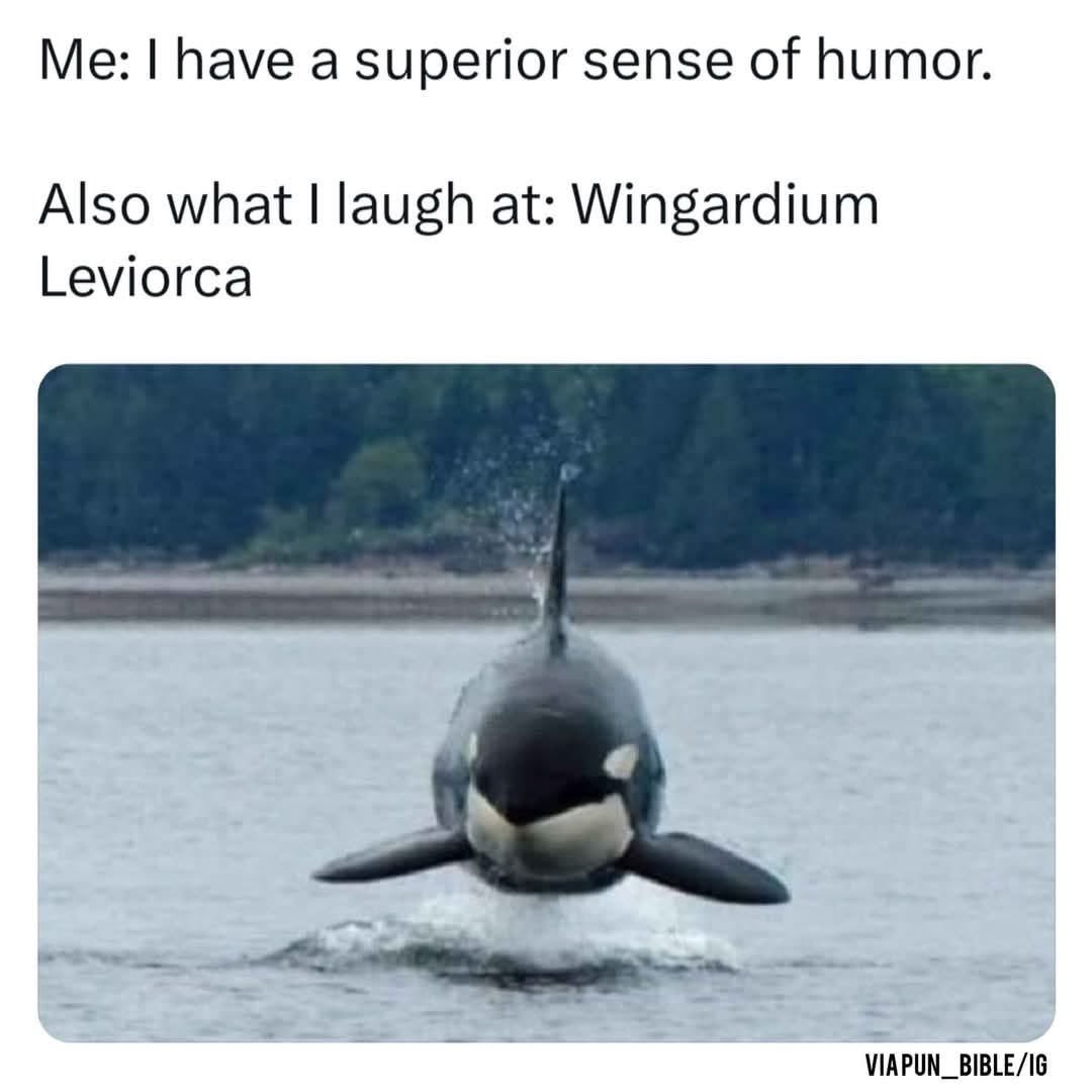 Me thinking I'm so cultured but then laughing at Harry Potter spells