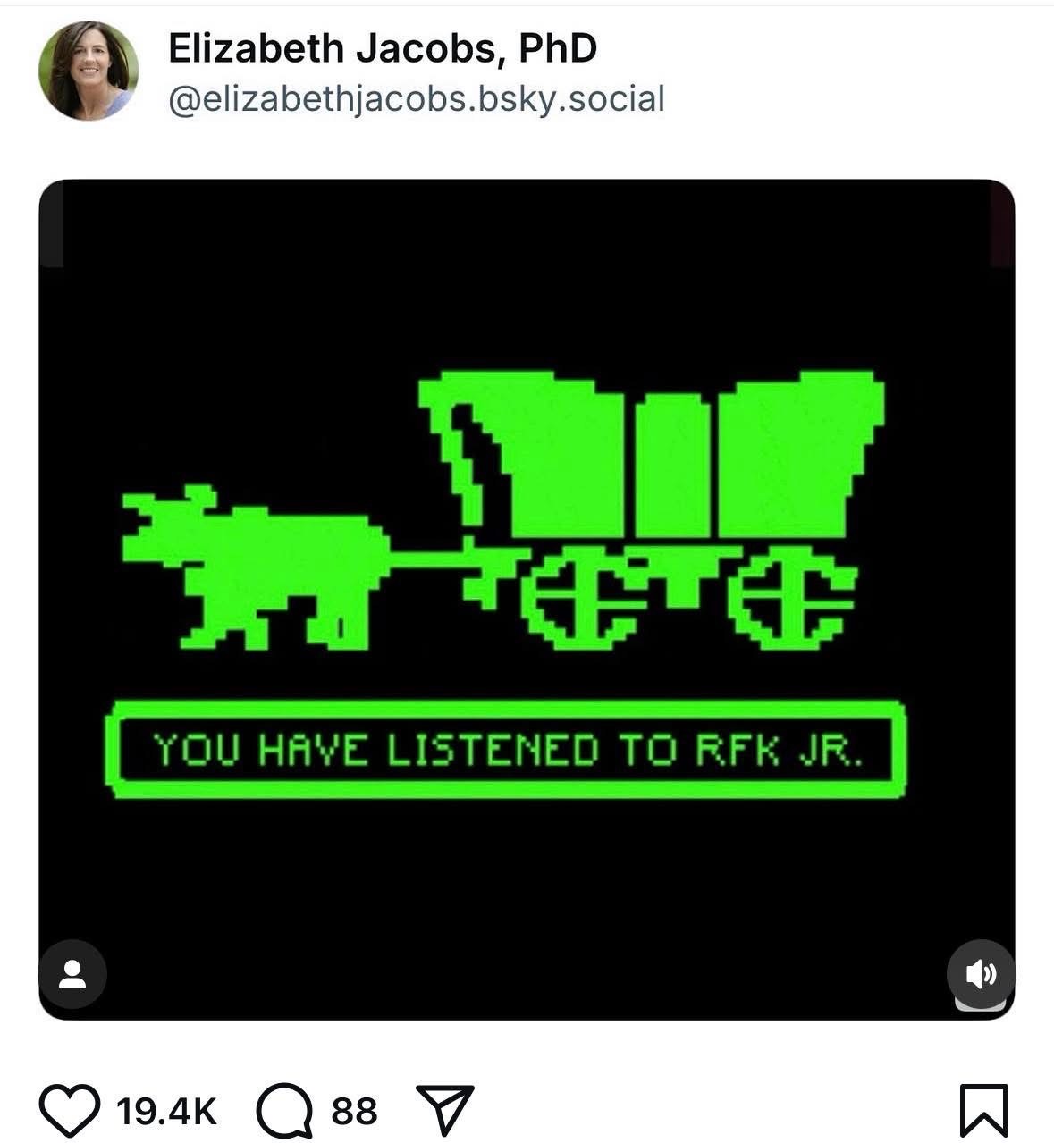 OMG, this looks like one of those old Oregon Trail games, but instead of dysentery, you get RFK Jr.