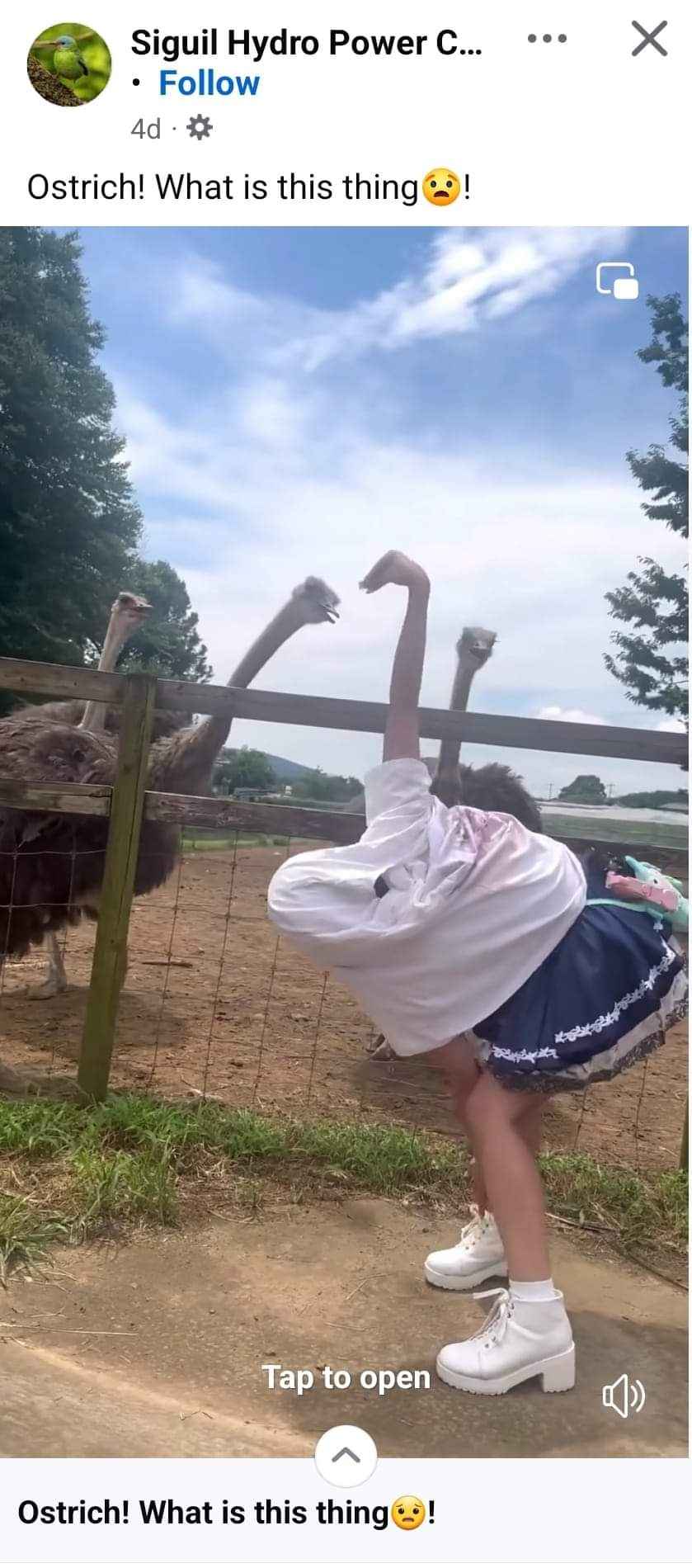 When you try to blend in with the locals but you're not quite sure how.