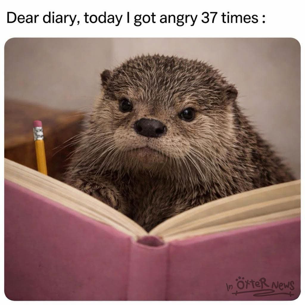 Me trying to journal my feelings but I'm just too angry to even write about it