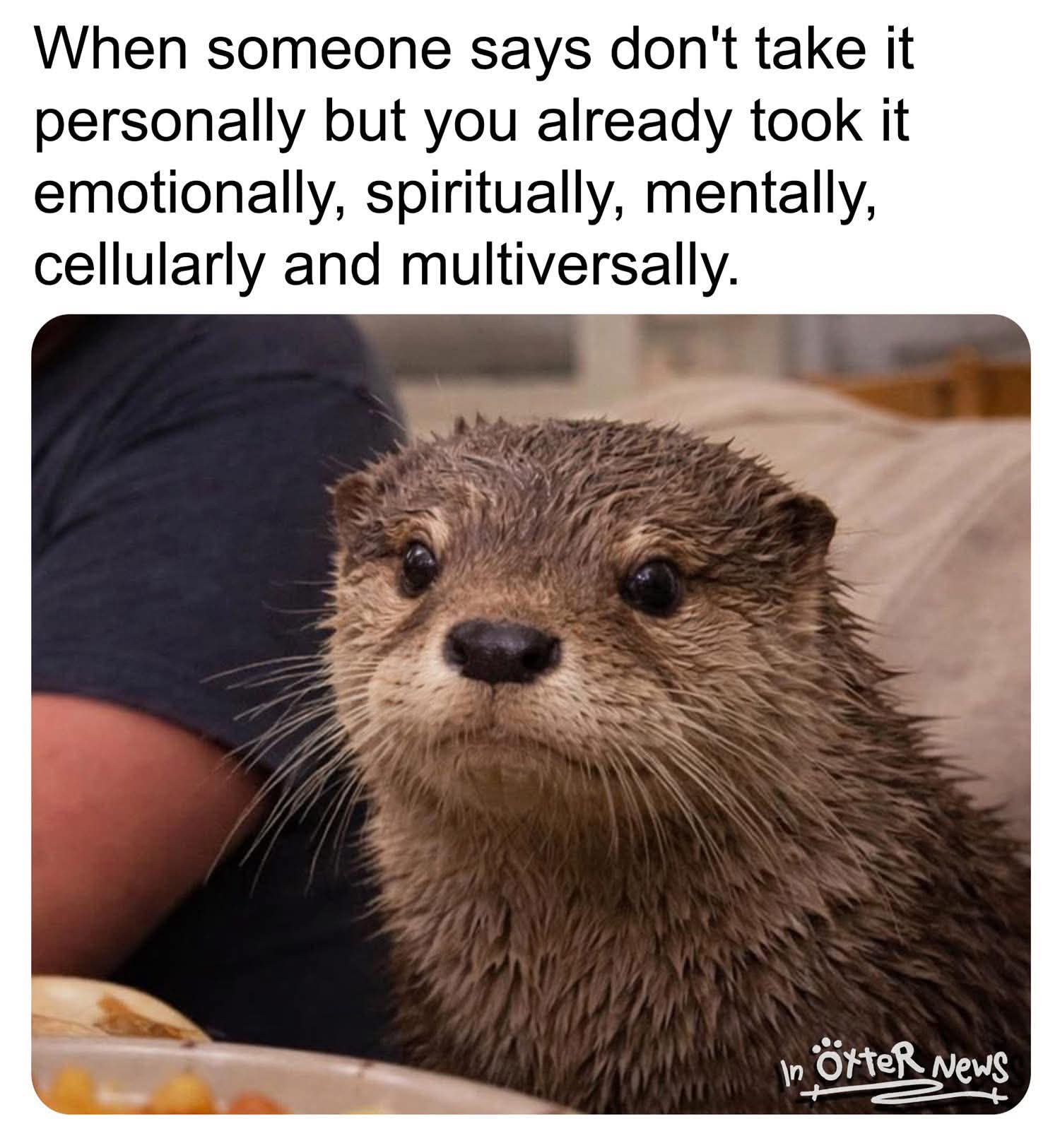 When they say 'don't take it personally' but you've already taken it to a multiversal level