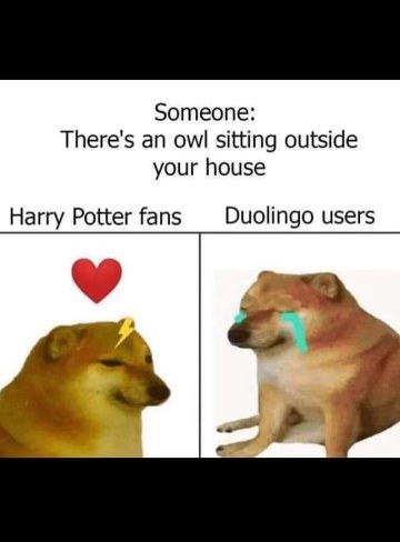 Harry Potter fans see a Hogwarts letter, Duolingo users see a threat from their owl tutor