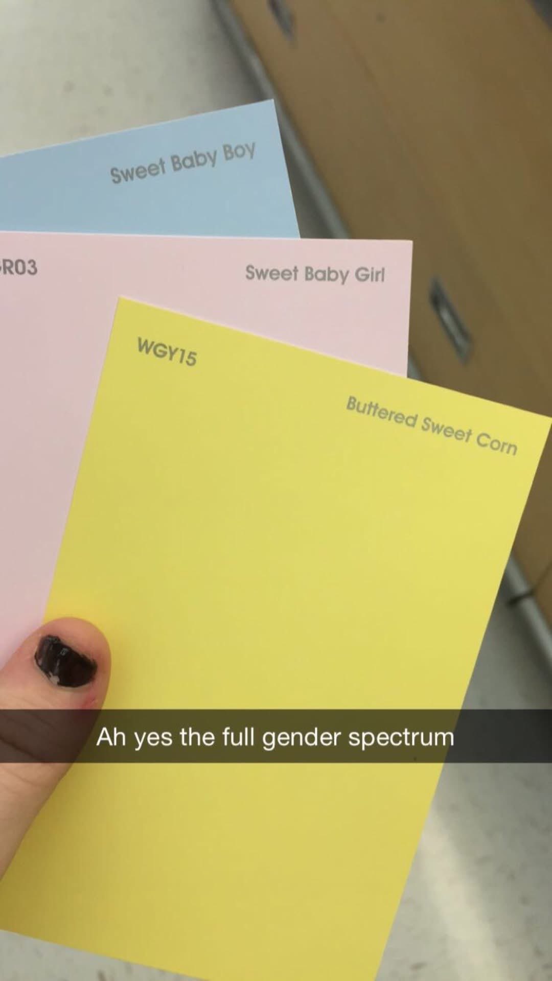 When paint samples offer the full gender spectrum, including 'Buttered Sweet Corn'