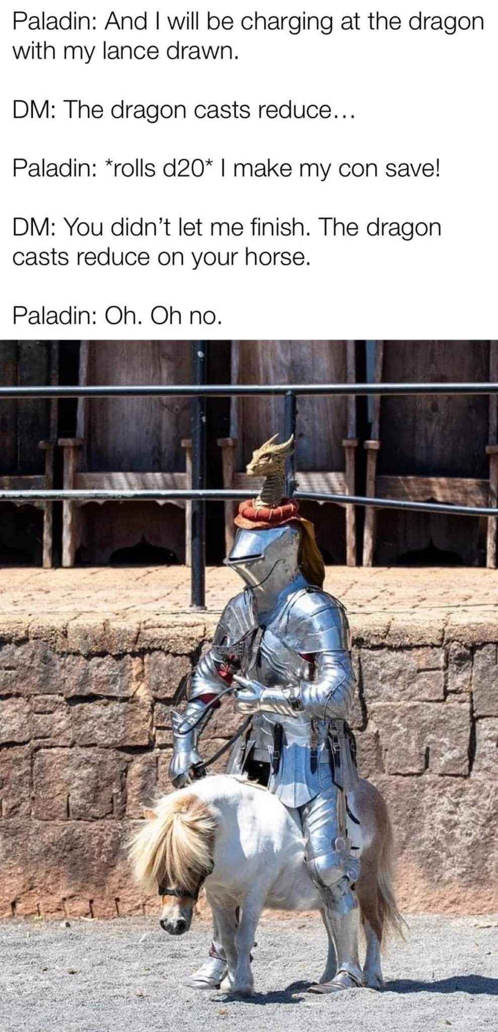 When you think you're ready for the big boss but the DM pulls a fast one on your tiny horse.