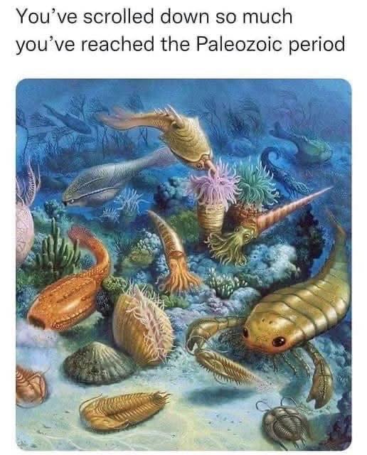 When you've scrolled so far down your feed that you've entered the Paleozoic era