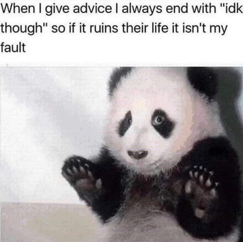 Me covering my tracks when I give bad advice