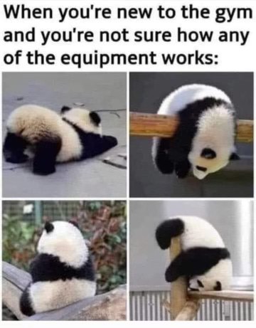 Me at the gym trying to figure out how any of this equipment works.