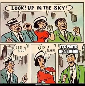 Nobody: ... Guys spotting things in the sky: 'It's a bird! It's a plane! Oh, it's just parts of a Boeing.'