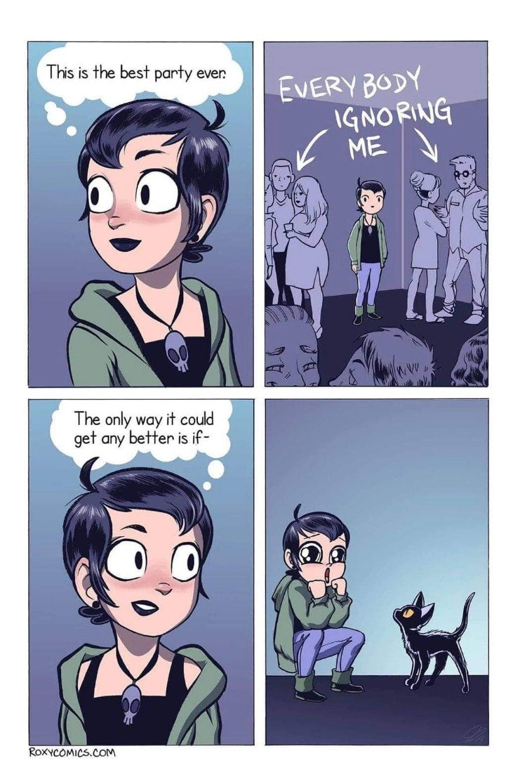 Me at a party thinking 'this is the best' until I realize I just want cats to hang out with