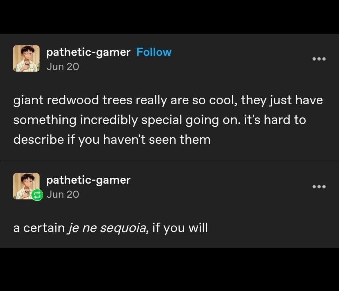This dude made a whole pun about sequoias like I've never heard it before
