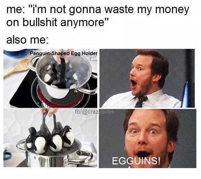 Me saying I'm done buying useless stuff but then I see penguin egg holders and I'm like 'EGGUINS!'