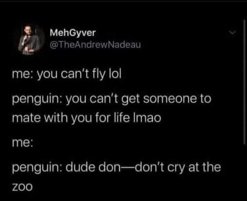 Oof this penguin really went for the jugular about my love life. We all know I can't fly but at least I don't cry at the zoo.