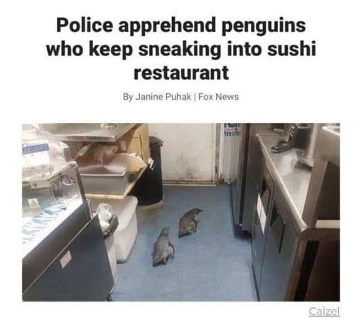 These penguins have criminal tendencies, caught sneaking into a sushi restaurant.