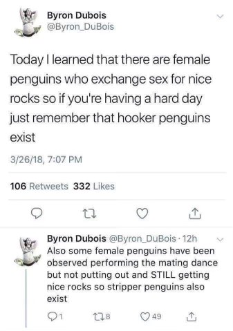 Penguins are wildin' out, not gonna lie.