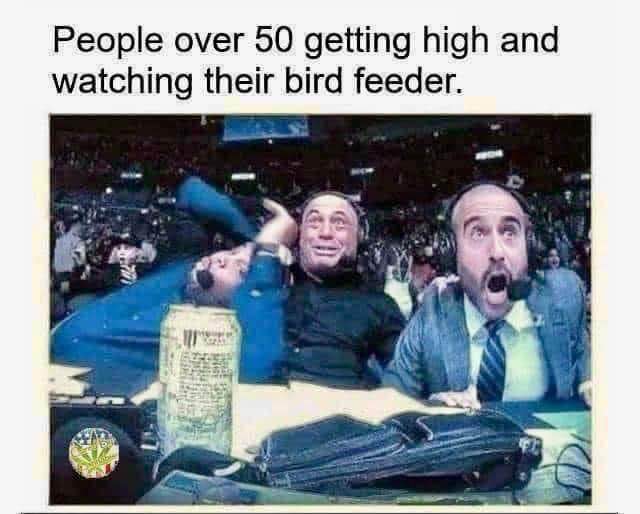 lol this is how my uncle acts when he's watching the squirrels at his feeder