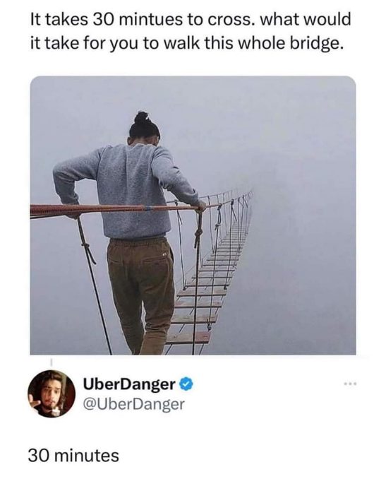 The answer to 'what would it take to walk this whole bridge' is just... 30 minutes, lol