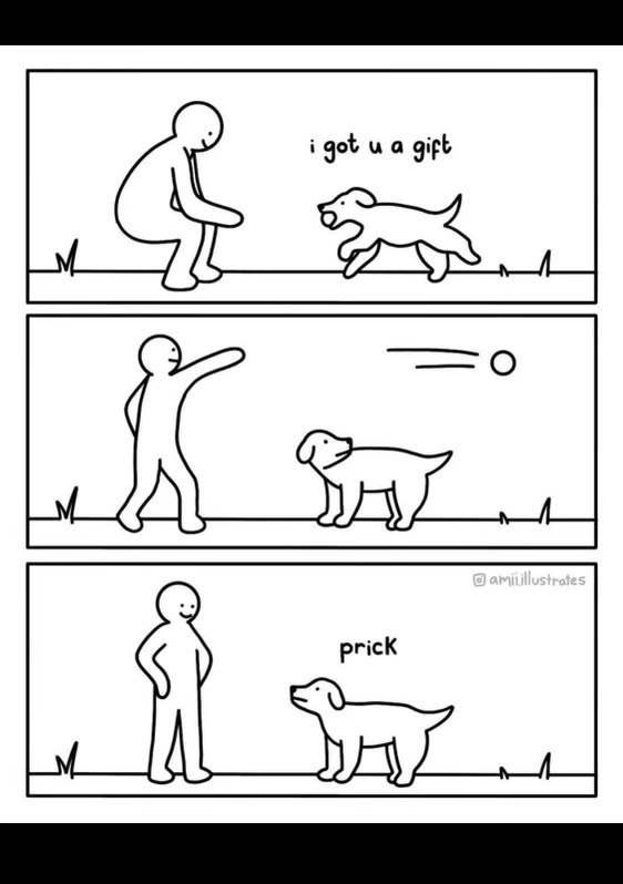 When you think you're getting a present but it's just a ball to throw that you'll never get back. So mean, dog lol