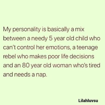 My personality is a chaotic blend of a toddler, a rebel teen, and a tired old lady.
