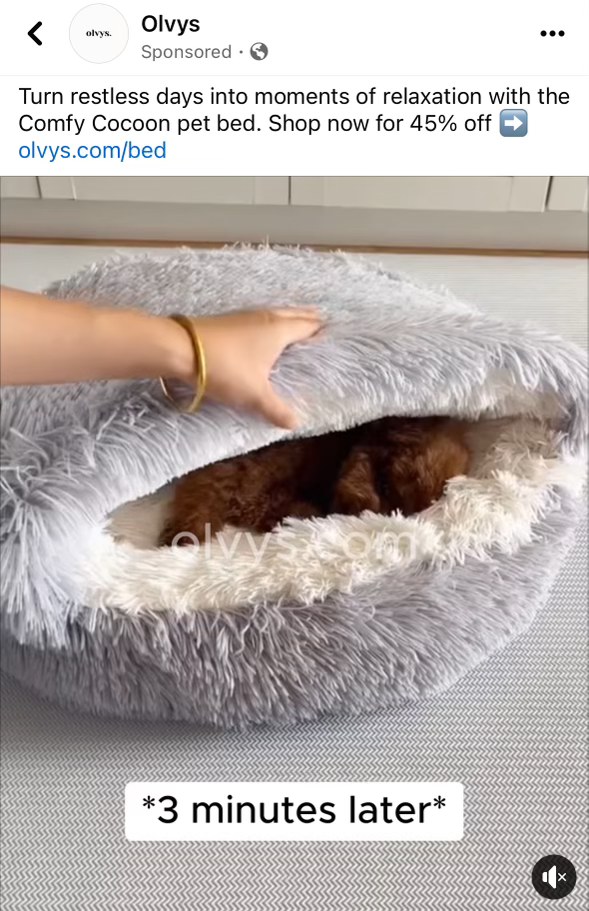 When you buy your dog the most expensive bed and they still just wanna sleep under the covers 3 minutes later