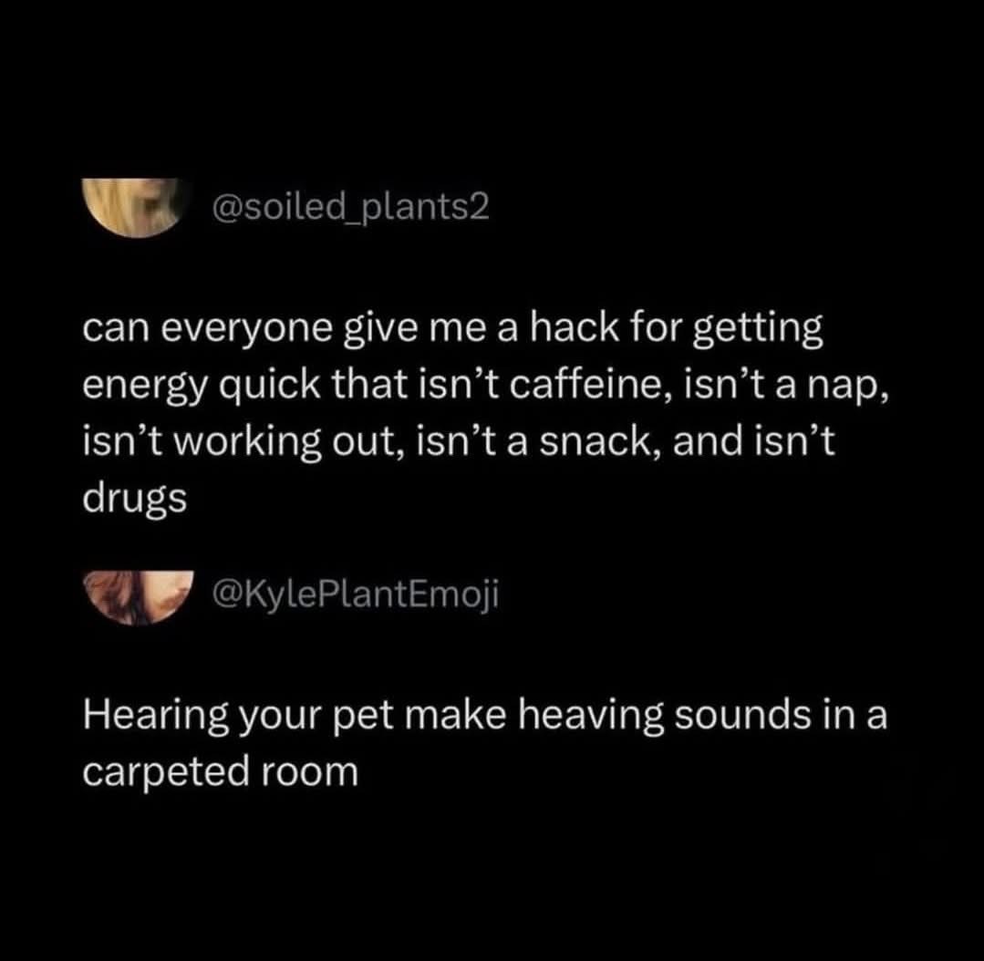 When you want energy but none of the usual things work, so you listen for your pet about to throw up instead