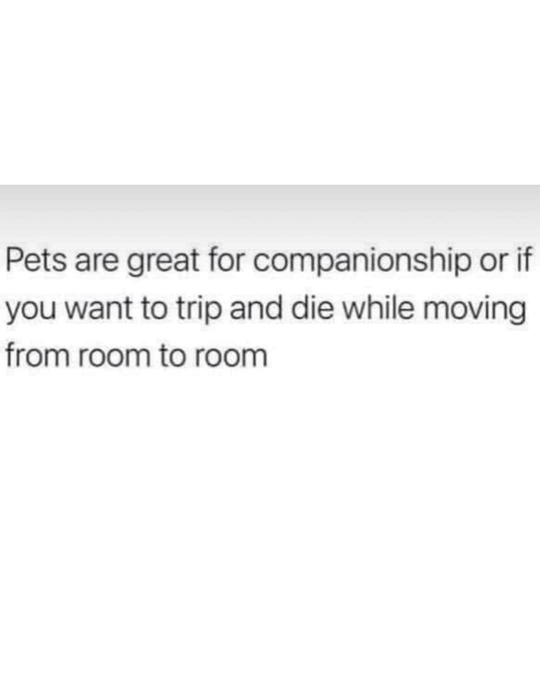 Apparently pets are also a hazard just waiting to happen when you walk across the floor.