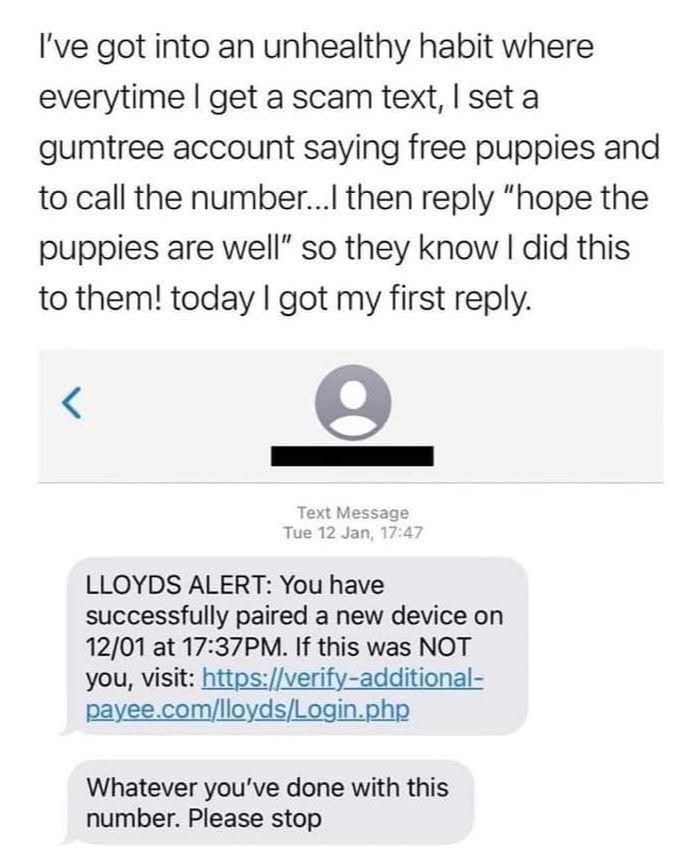 My petty revenge against scam texts is putting up fake puppy ads and then texting them back