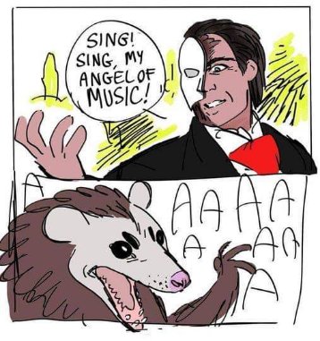The Phantom thought he was gonna serenade someone, but he got this instead.