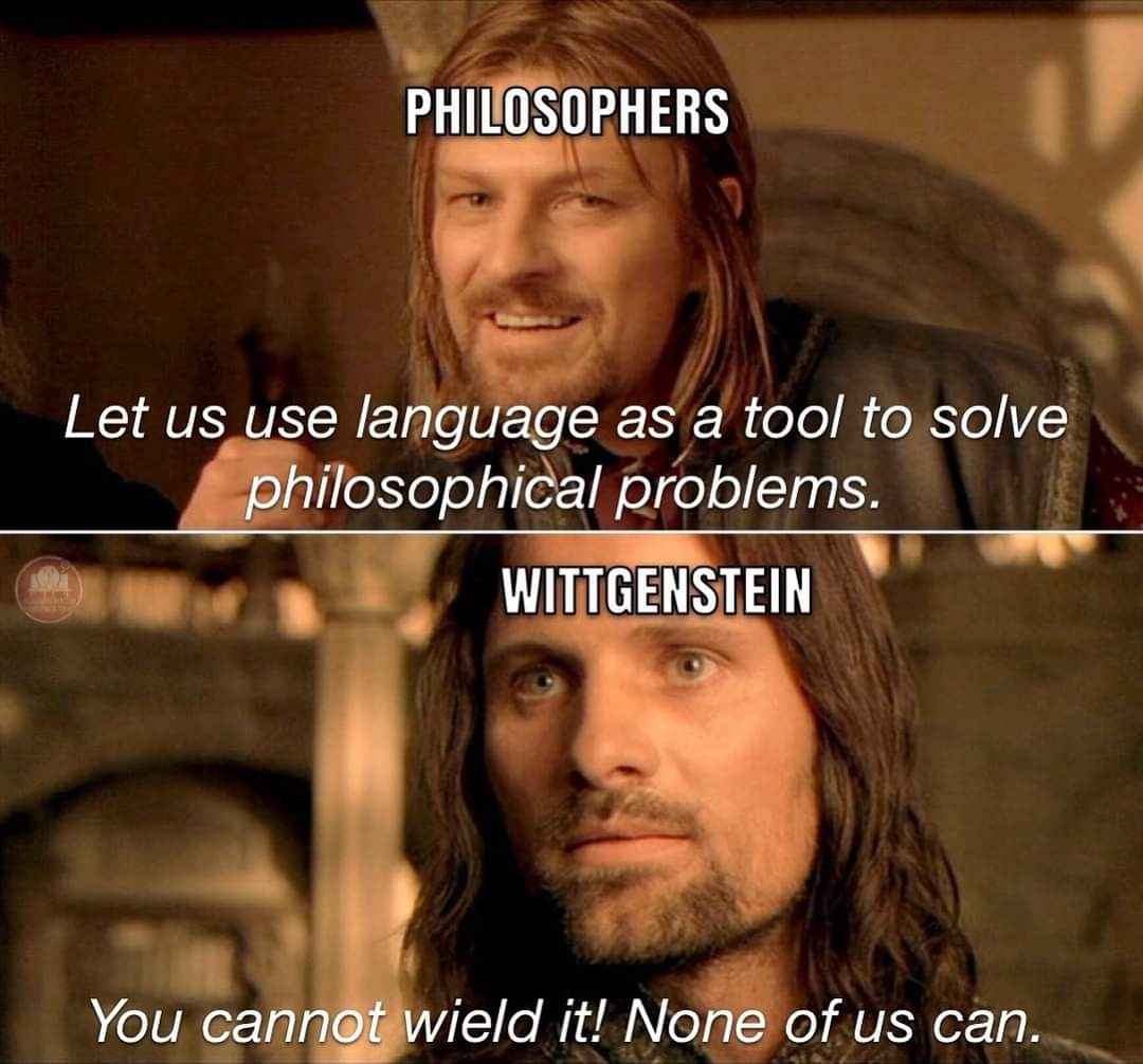 When you think you've figured out a philosophical problem with words but Wittgenstein is like 'lol no'