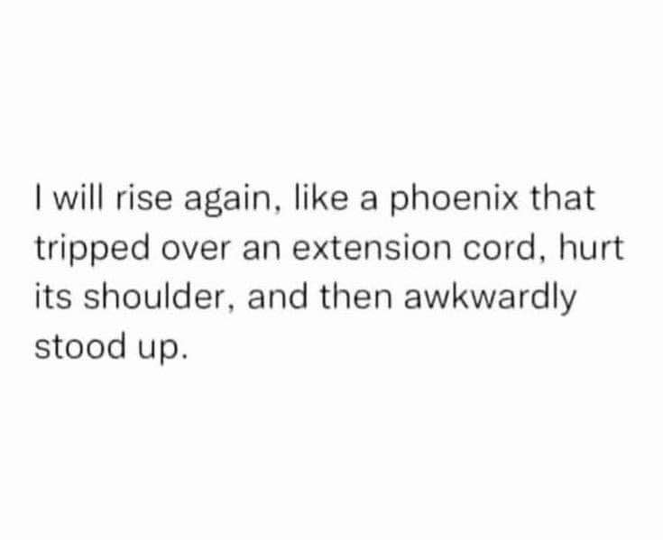 Me recovering from a minor inconvenience like a majestic bird that just face-planted