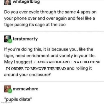 When your phone addiction needs a little bit of extra 'enrichment' involving a guillotine and an oligarch. This is normal, right?